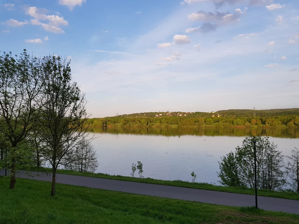 Heiratsantrag am Rhein bei Düsseldorf